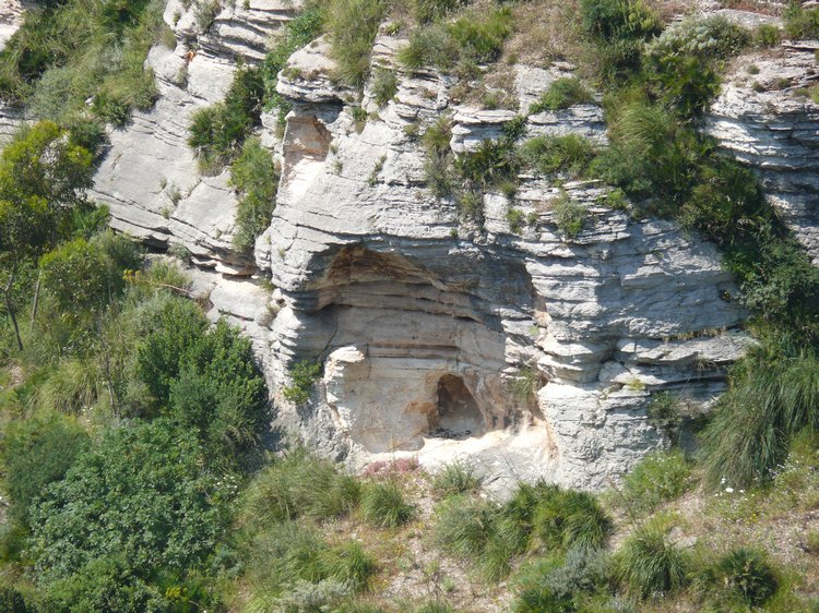 segesta_002.jpg