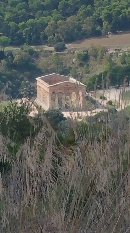 segesta_021.jpg